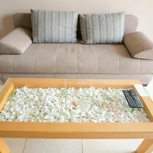 Apartment Paradiso